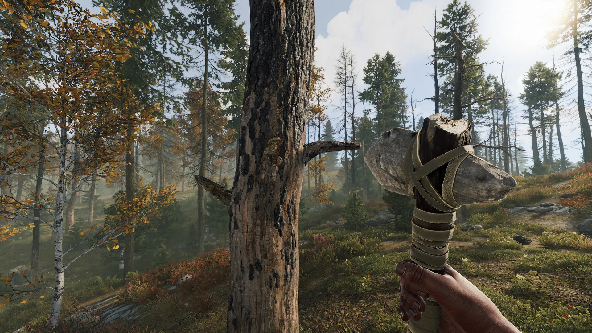 Rust screenshot 9